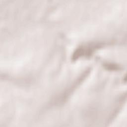 Rochefort-sur-Loire Terrain Map