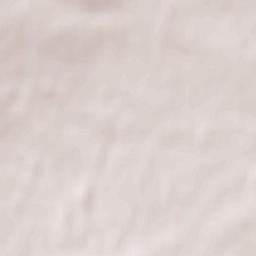 Ruffey-lès-Echirey Terrain Map