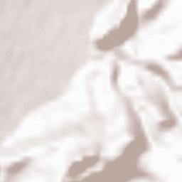 Hohenems Terrain Map