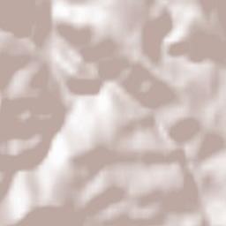 Birkfeld Terrain Map