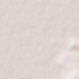 Săcueni Terrain Map