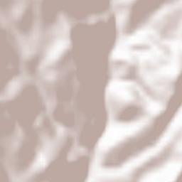 Runcu Salvei Terrain Map