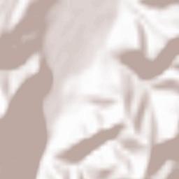 Sângeorz-Băi Terrain Map