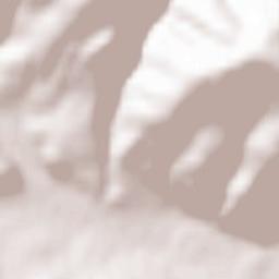 Vatra Dornei Terrain Map