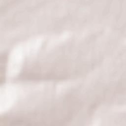 Bogdăneşti Terrain Map