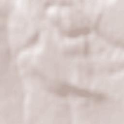 Tătăruşi Terrain Map