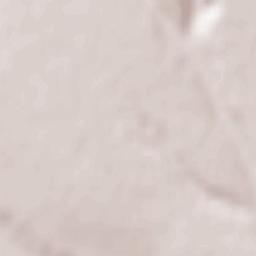 Comuna Ţigănaşi Terrain Map