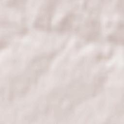 Vigneux-de-Bretagne Terrain Map