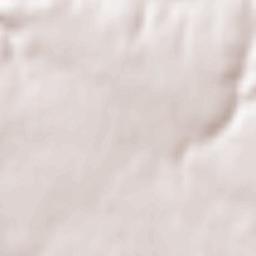 Champtoceaux Terrain Map