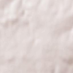 La Chapelle-Saint-Florent Terrain Map