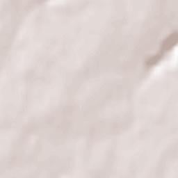 Saint-Laurent-de-la-Plaine Terrain Map