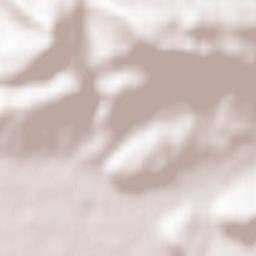 Oftringen Terrain Map