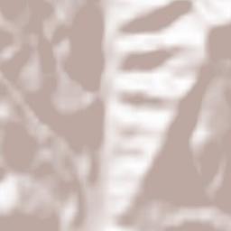 Comuna Negrileşti Terrain Map