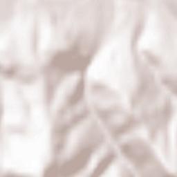 Dorna-Arini Terrain Map