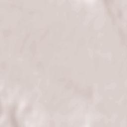 Conțești Terrain Map