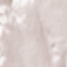 Todireşti Terrain Map