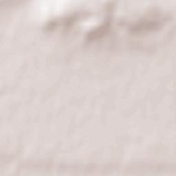 Saint-Nicolas-de-Bourgueil Terrain Map