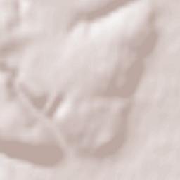 Chenôve Terrain Map