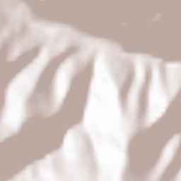 Pusterwald Terrain Map