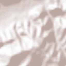 Comuna Poiana Blenchii Terrain Map