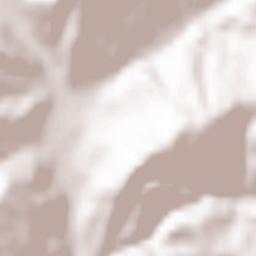 Chiuiești Terrain Map