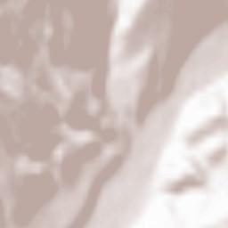 Nimigea de Sus Terrain Map