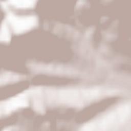 Şaru Dornei Terrain Map