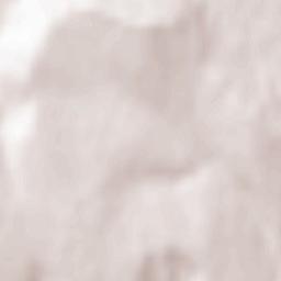 Popricani Terrain Map