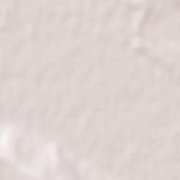 Comuna Victoria Terrain Map