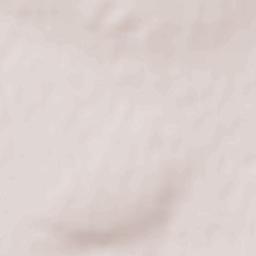 Sovetskoye Terrain Map