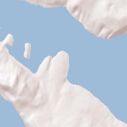 Fox Island Terrain Map