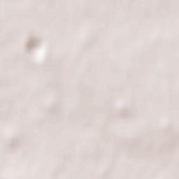 Saint-Viaud Terrain Map