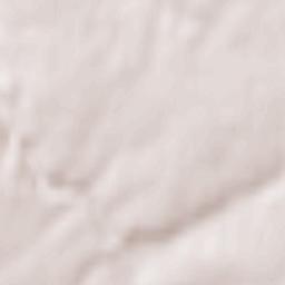 Landemont Terrain Map