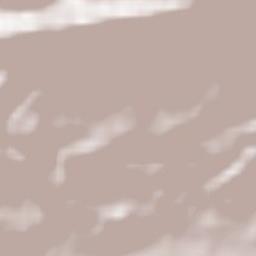 Wiedlisbach Terrain Map