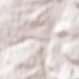 Vordemwald Terrain Map