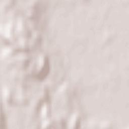 Bezirk Muri Terrain Map