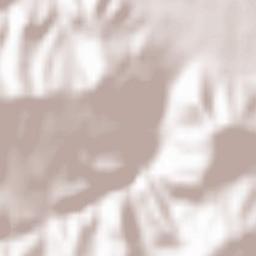 Comuna Rus Terrain Map