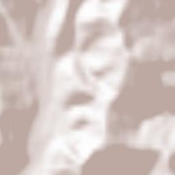 Negrilești Terrain Map