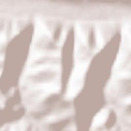 Comuna Feldru Terrain Map