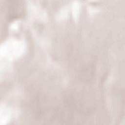 Ruginoasa Terrain Map