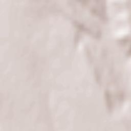 Comuna Ruginoasa Terrain Map