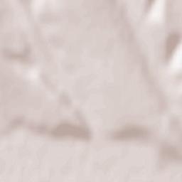 Erbiceni Terrain Map