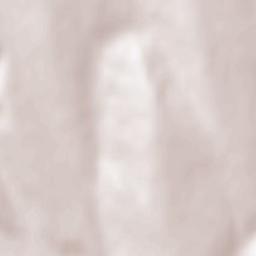 Totoești Terrain Map