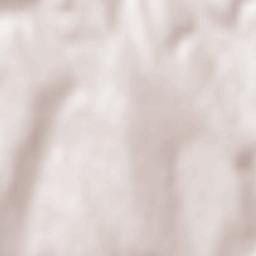 Comuna Româneşti Terrain Map