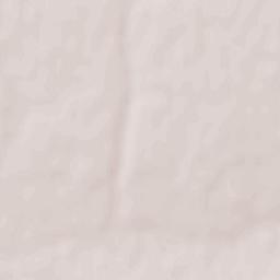 Tokmak Raion Terrain Map