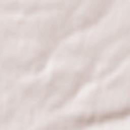 Le Loroux-Bottereau Terrain Map