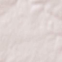 La Remaudière Terrain Map