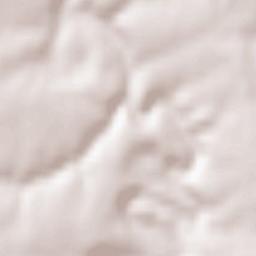 Le Fief-Sauvin Terrain Map