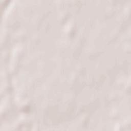 Saint-Branchs Terrain Map