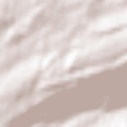 Tramelan Terrain Map